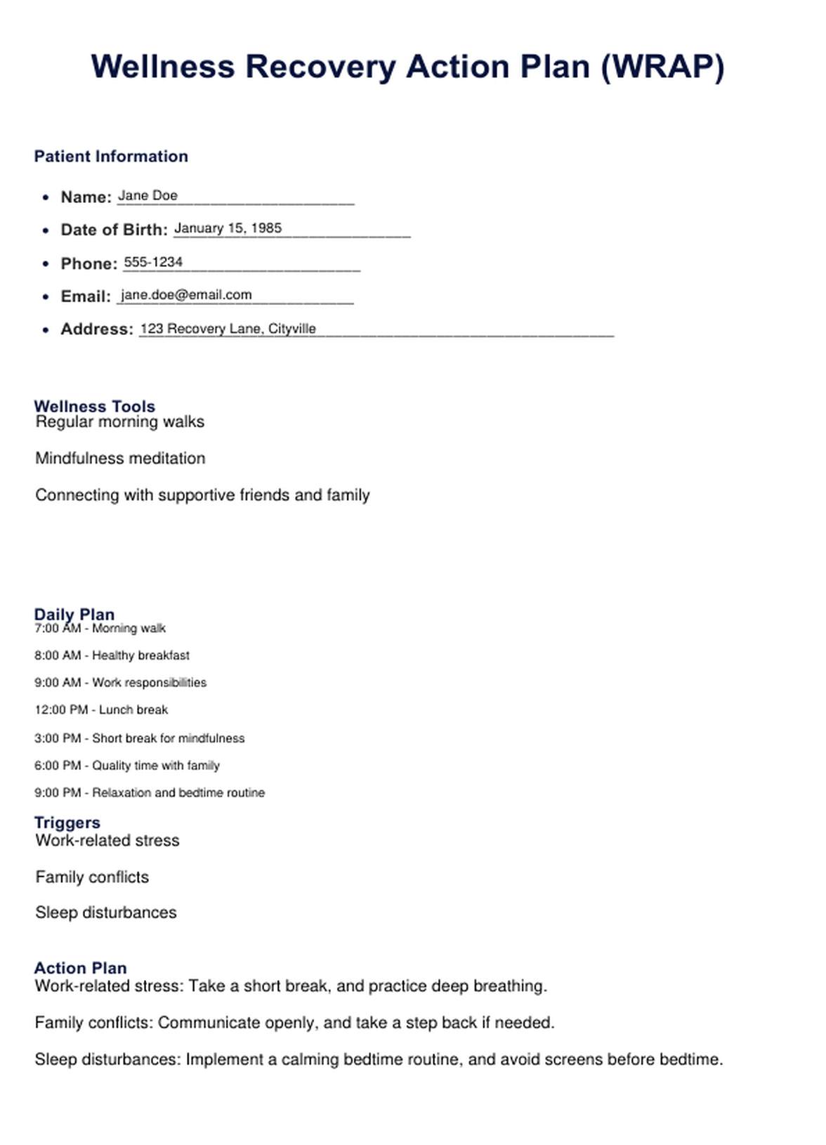WRAP Plan Template Example Free PDF Download WRAP Plan Template Example Free PDF Download