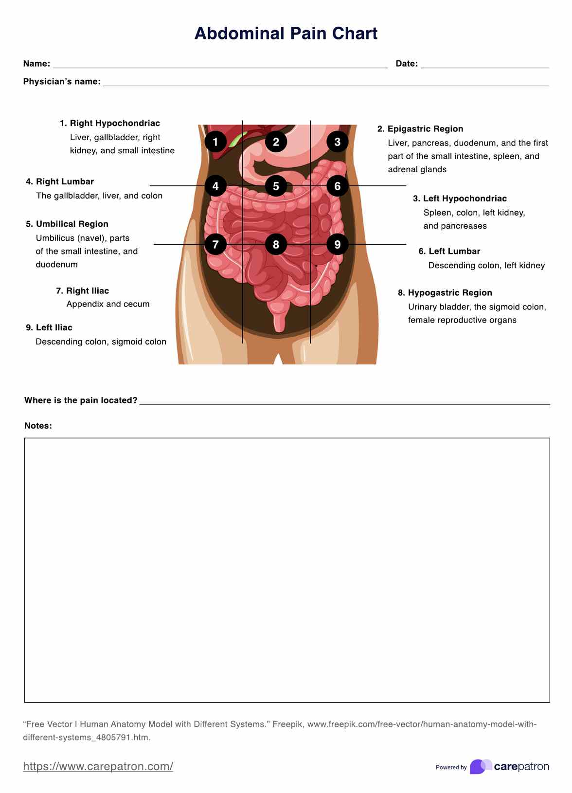 Abdominal Pain Charts