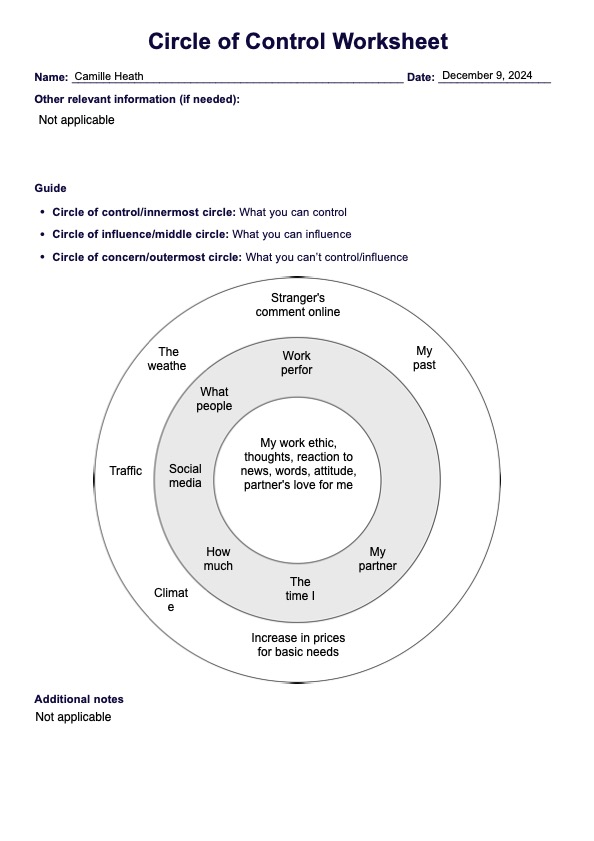 Circle Of Control Worksheet Example Free PDF Download