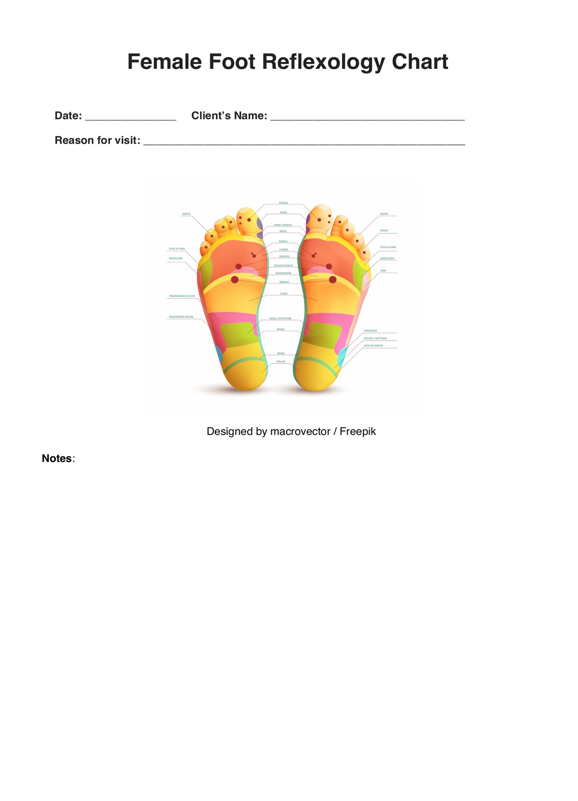 Female Foot Reflexology Charts