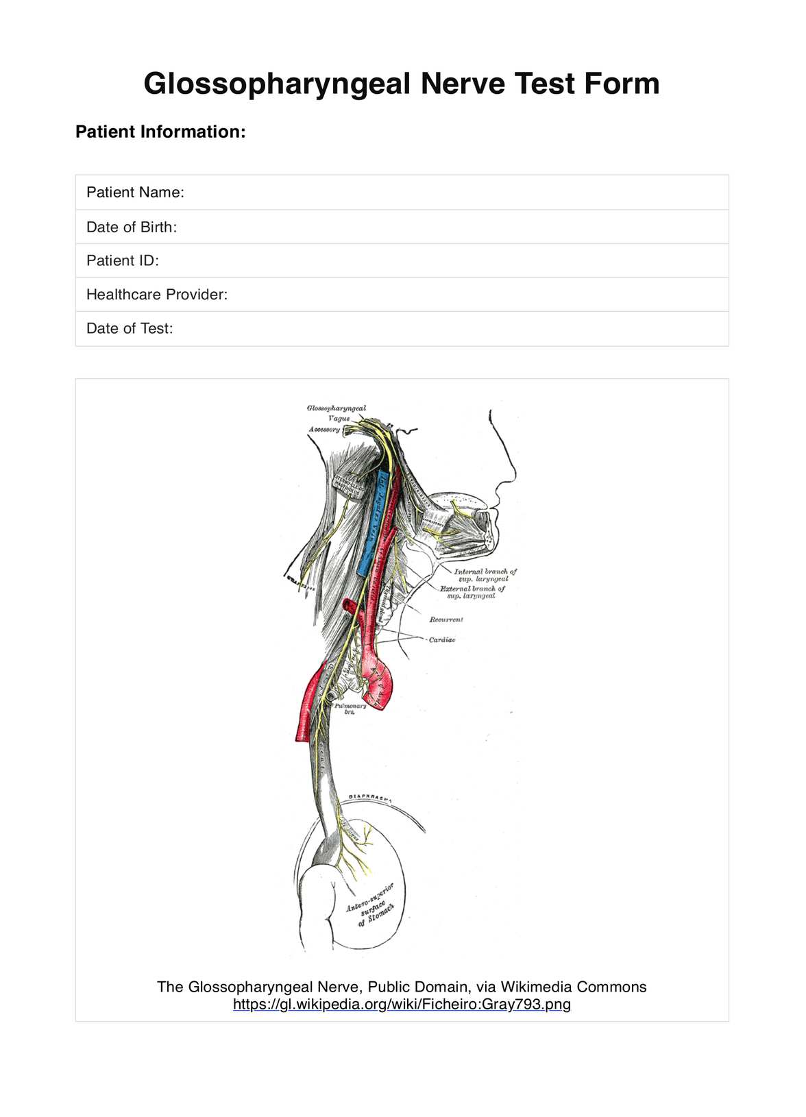 Glossopharyngeal Nerve Test