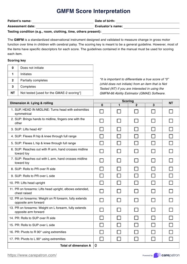 GMFM Score Interpretation