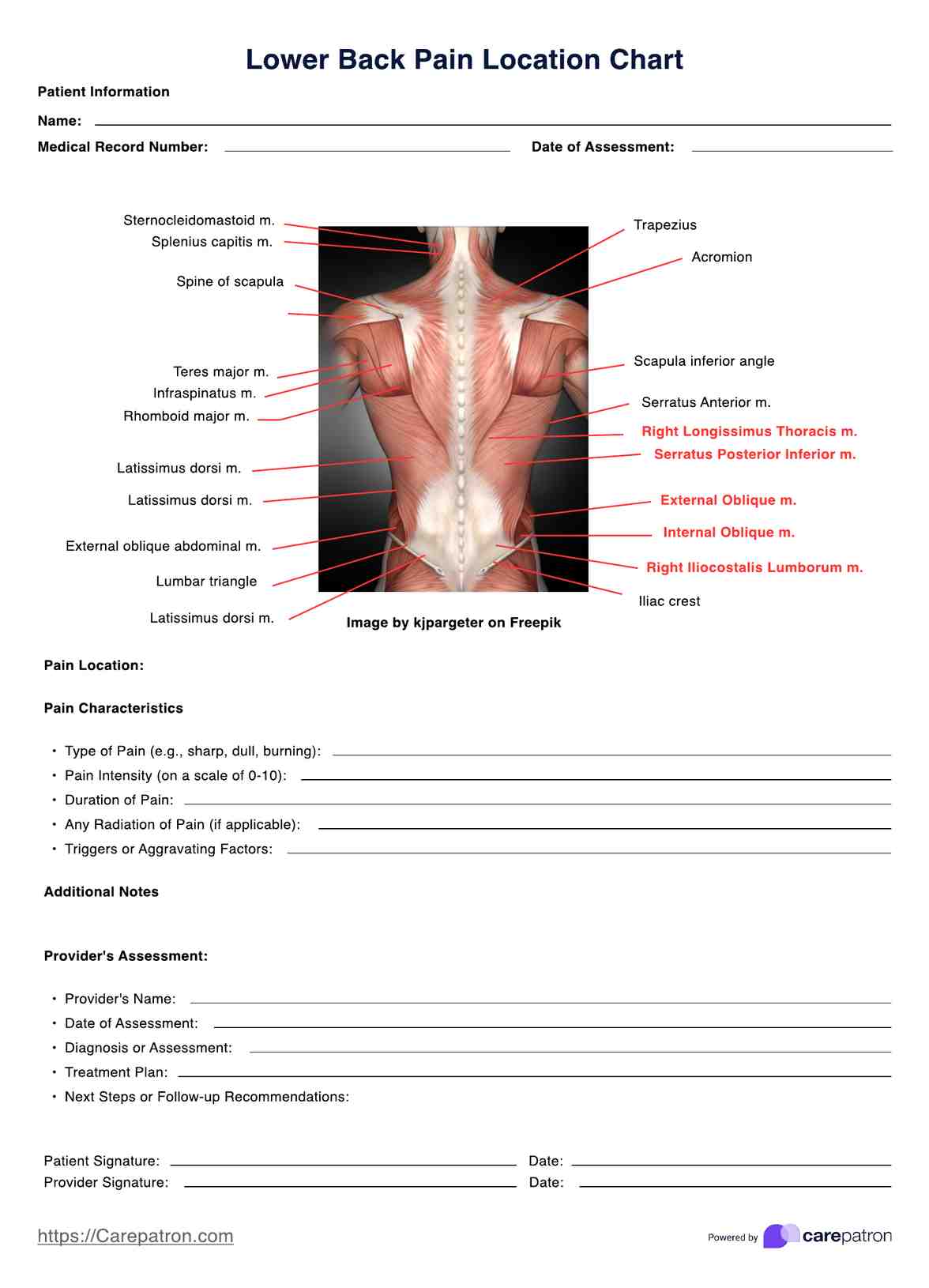 Lower Back Pain Location Charts