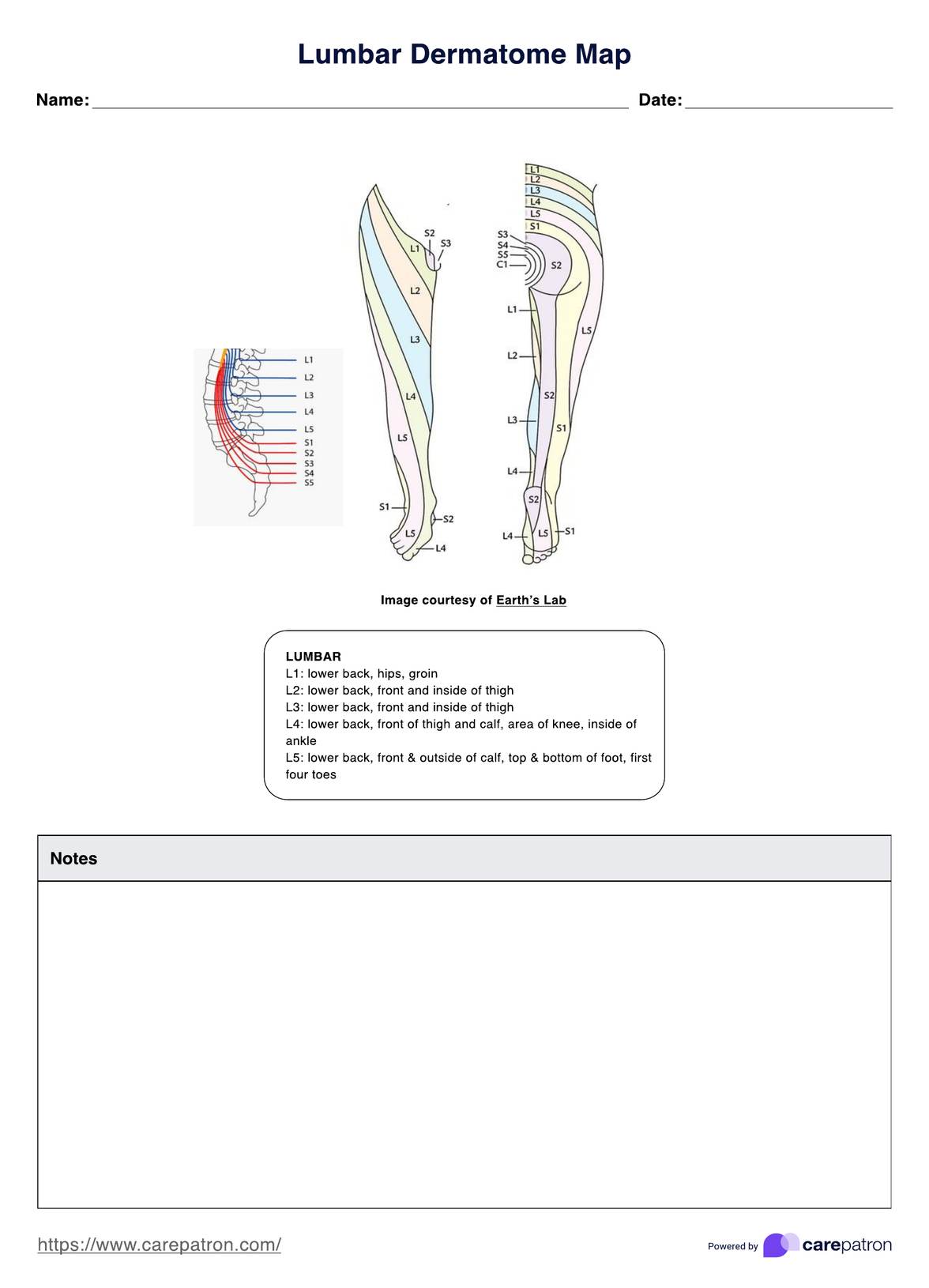 Lumbar Dermatome Map