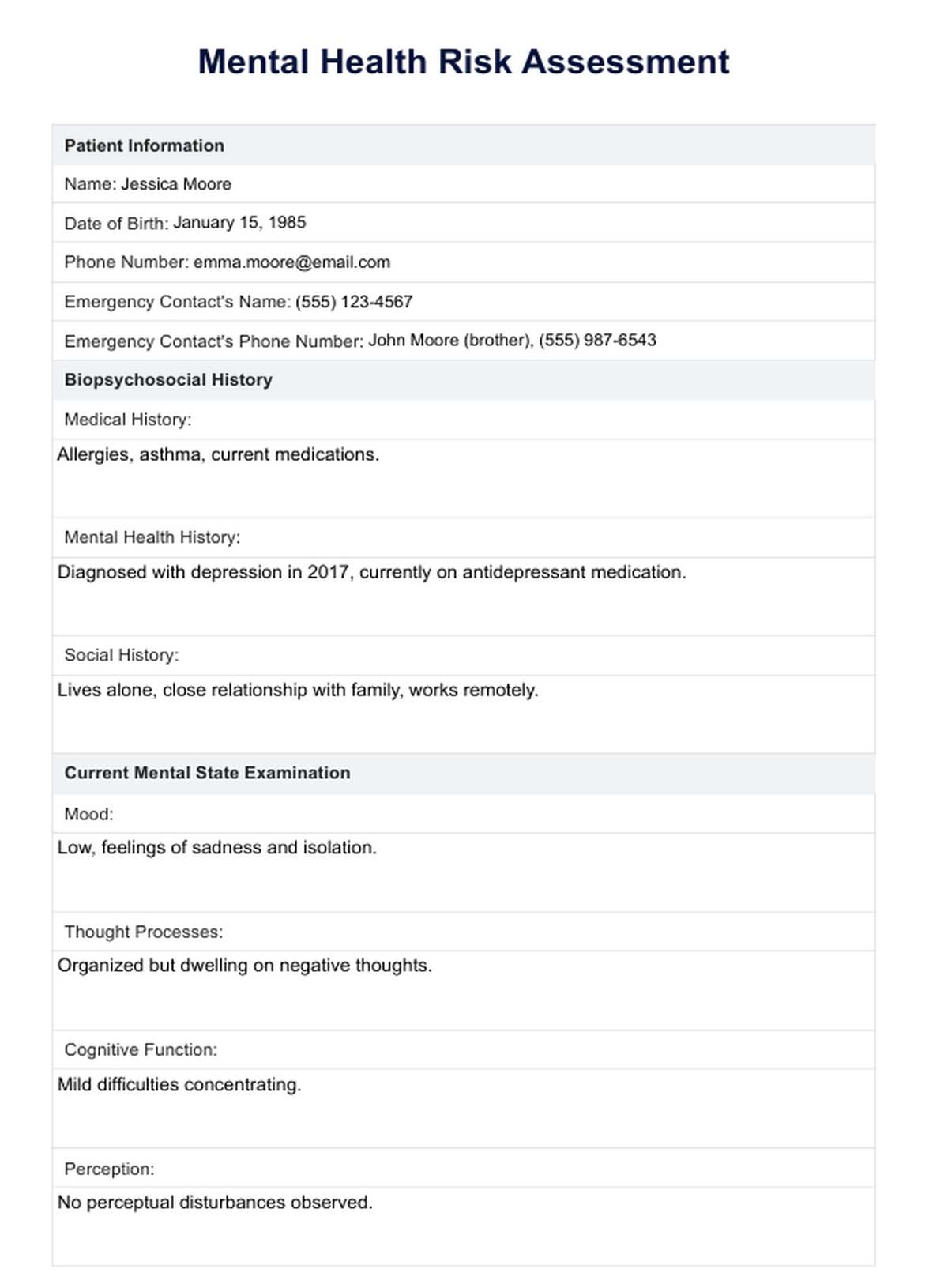 Mental Health Risk Assessment Example Free PDF Download