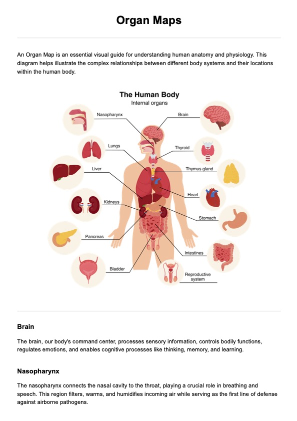 Human Organ Body System
