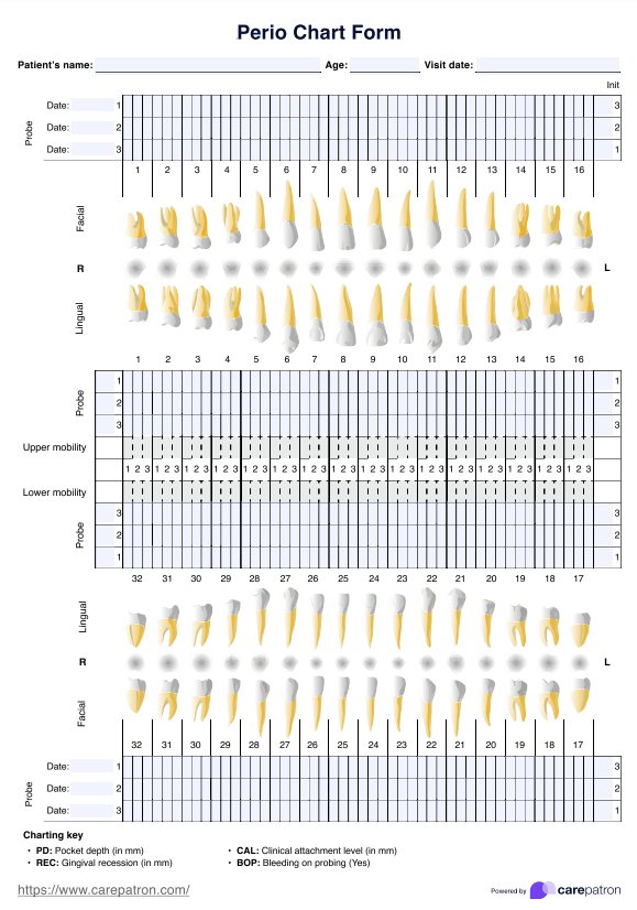 Printable Periodontal Chart Printable Periodontal Chart