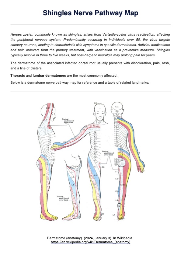 Herpes Zoster Dermatomes Lumbar
